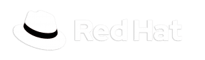 Red Hat Logo X View partner italia