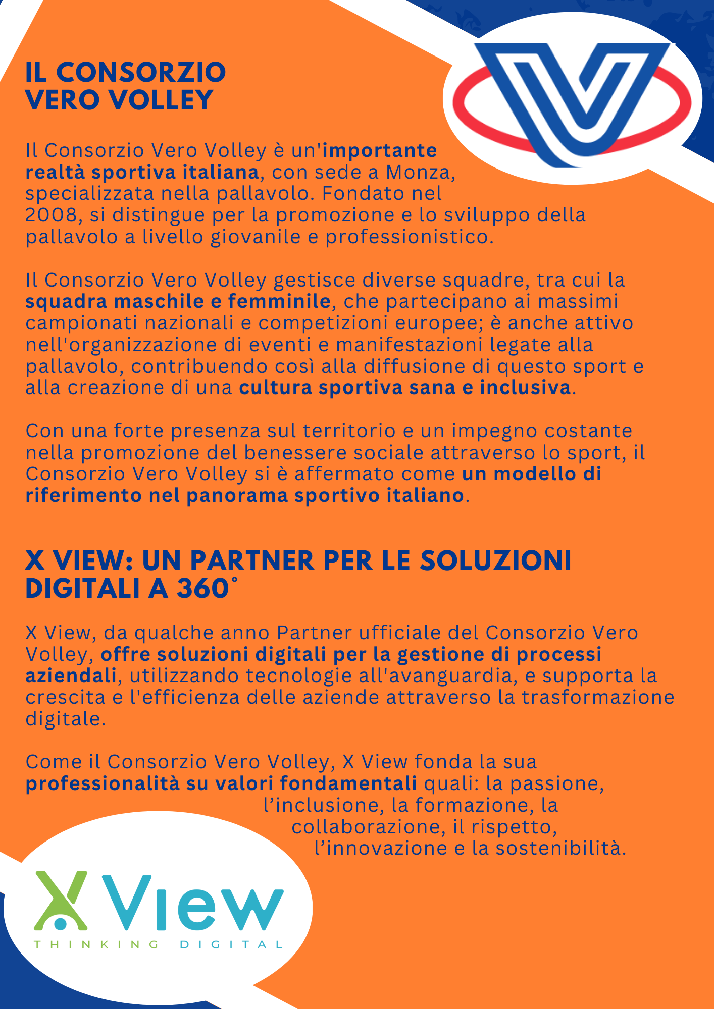 Referenza VERO VOLLEY_2